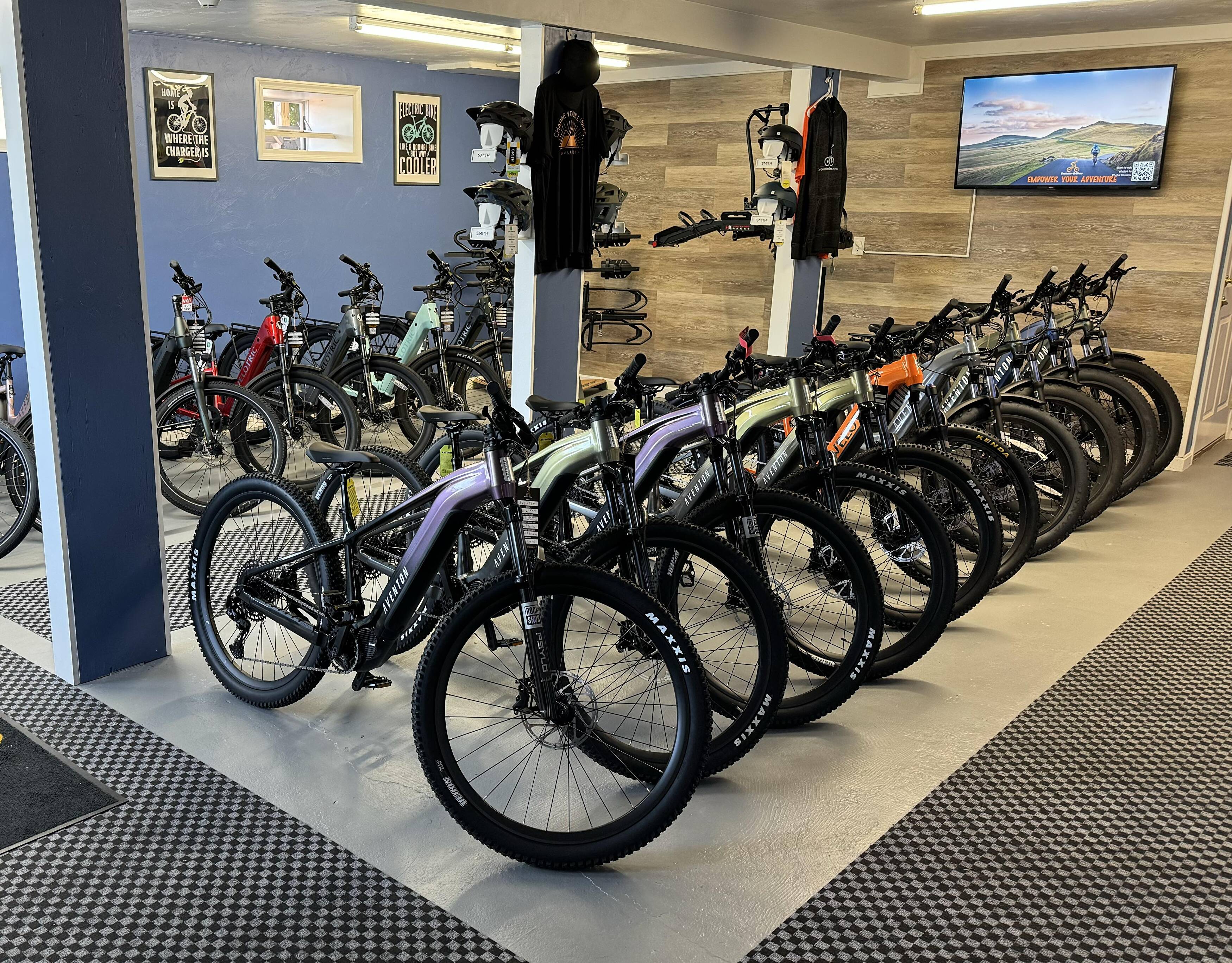 Evolution electric bike sale